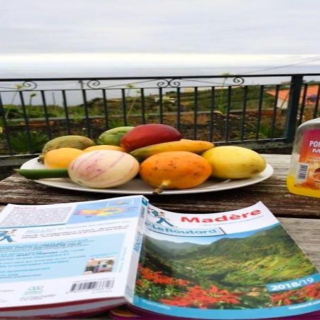 Paraiso Das Flores Estreito Da Calheta Εξωτερικό φωτογραφία
