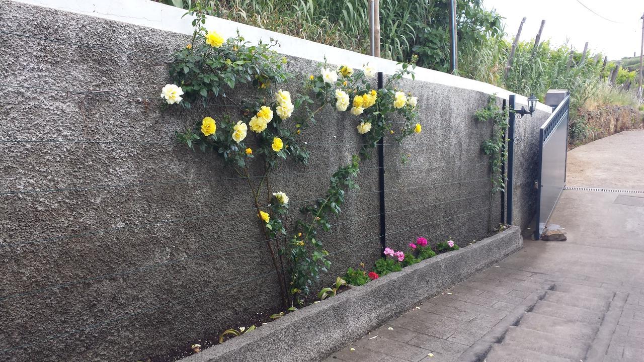 Paraiso Das Flores Estreito Da Calheta Εξωτερικό φωτογραφία