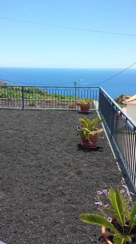 Paraiso Das Flores Estreito Da Calheta Εξωτερικό φωτογραφία